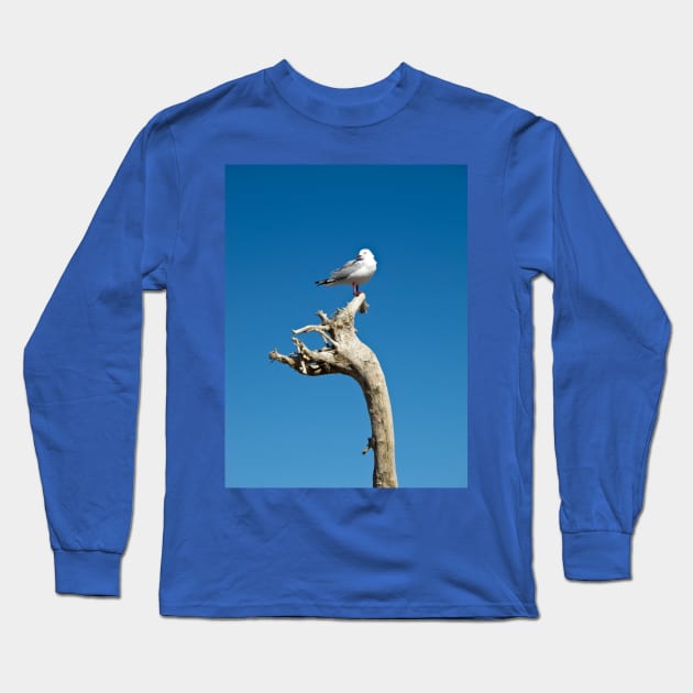 seagull on driftwood Long Sleeve T-Shirt by sma1050